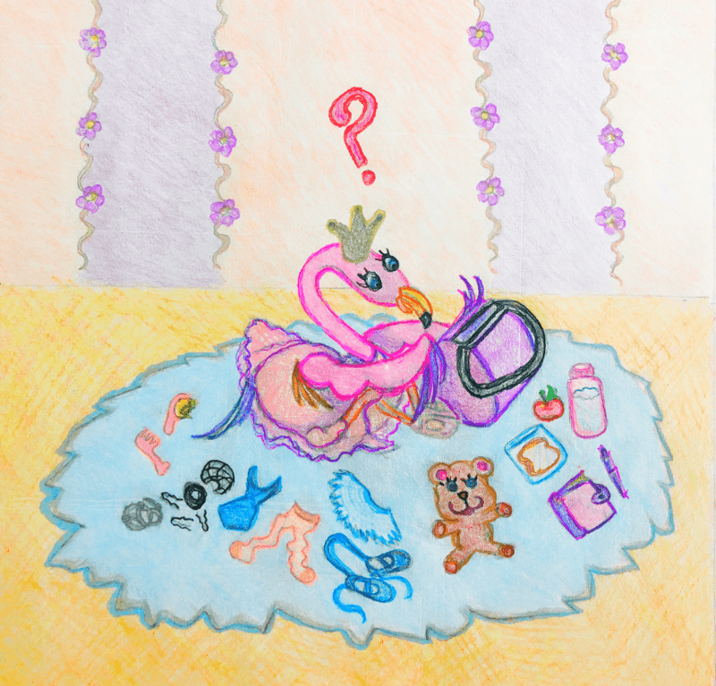 Illustration from Florrie Flamingo's First Ballet Class