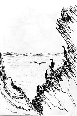 Ink sketch used for the rugged setting 