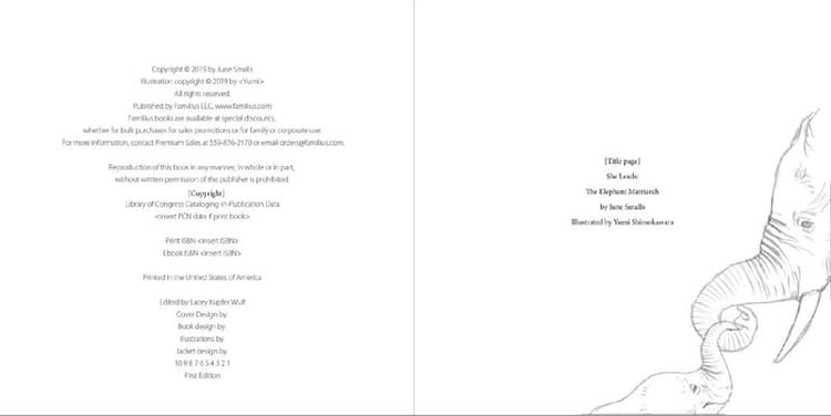 Illustrator Yumi Shimokawara - Rough Art Title Page