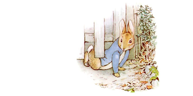 The Tale of Peter Rabbit by Beatrix Potter (Peter Rabbit, #1)