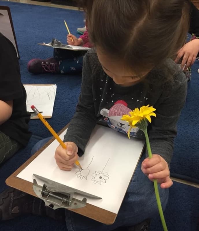 and observe carefully, and sketch a flower from real life.