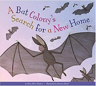 A Bat Colony's Search for a New Home