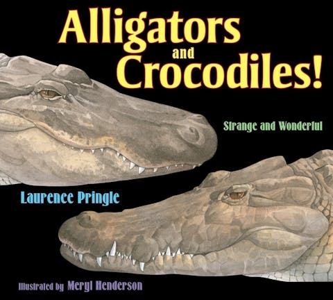 Alligators and Crocodiles!