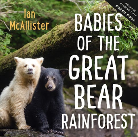 Babies of the Great Bear Rainforest