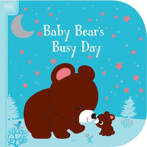 Baby Bear's Busy Day