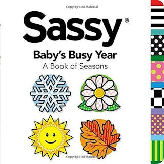 Baby's Busy Year