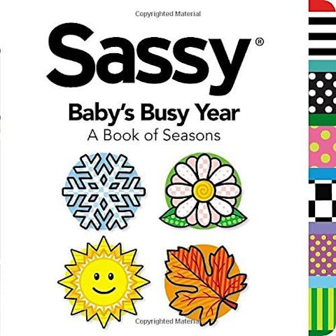 Baby's Busy Year