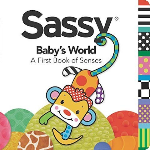 Baby's World: A First Book of Senses