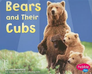 Bears and Their Cubs