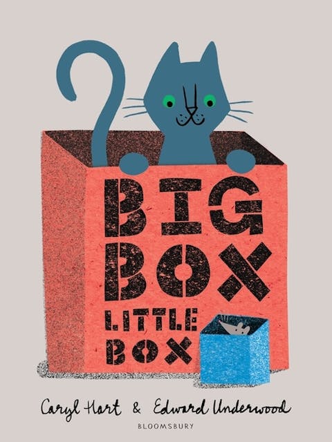 Big Box Little Box