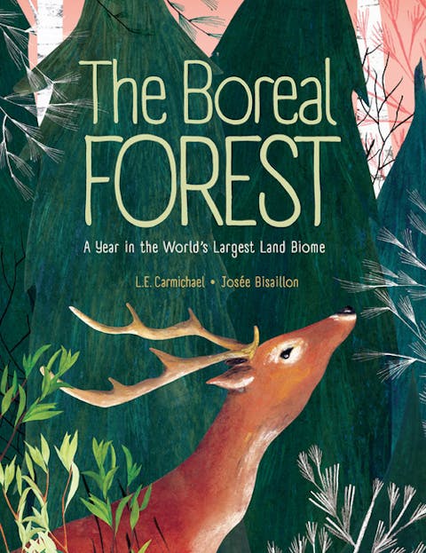 Boreal Forest: A Year in the World's Largest Land Biome