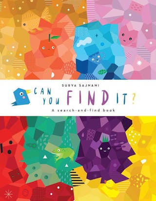 Can You Find It?: A Search-and-Find Book
