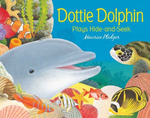 Dottie Dolphin Plays Hide-and-Seek