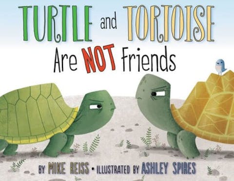 Turtle and Tortoise Are Not Friends