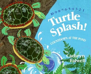 Turtle Splash!: Countdown at the Pond