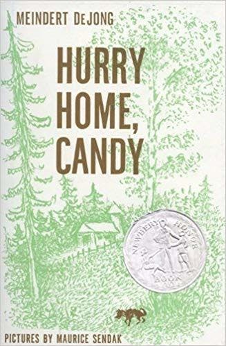 Hurry Home, Candy (Harper Trophy Books)
