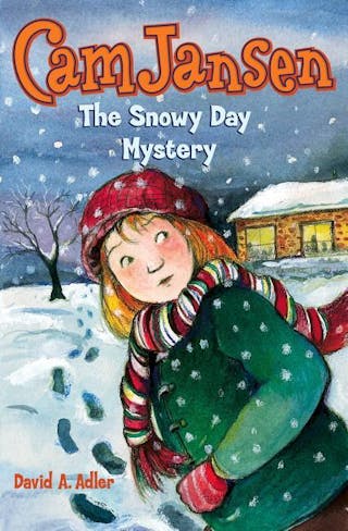 The Snowy Day Mystery