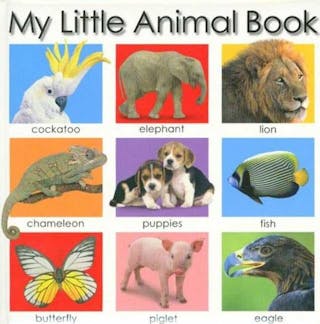 My Little Animal Book