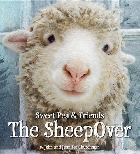 The SheepOver