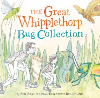 The Great Whipplethorp Bug Collection