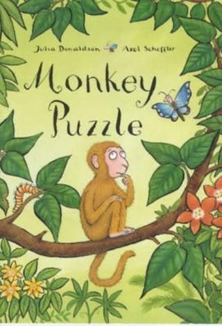 Monkey Puzzle (Revised)