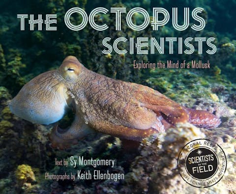 Octopus Scientists
