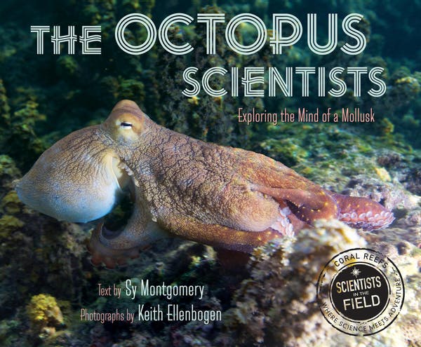 Octopus Scientists