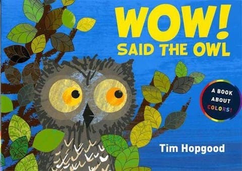 Wow! Said the Owl: A Book About Colors