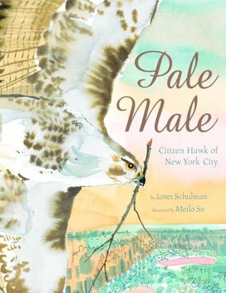 Pale Male: Citizen Hawk of New York City