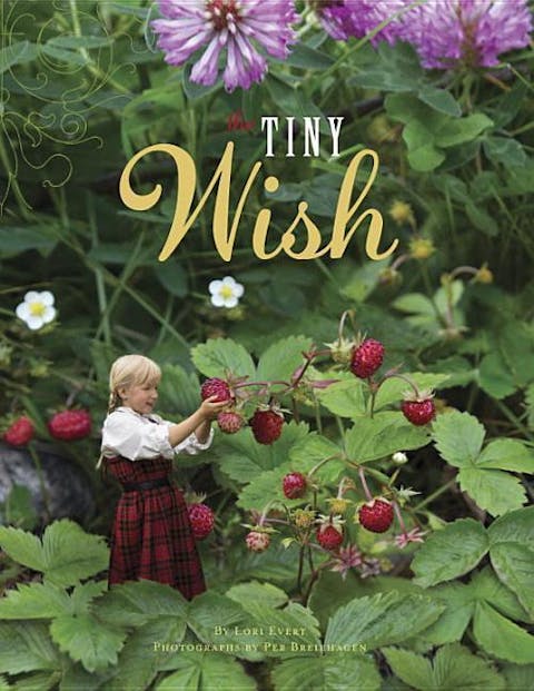 Tiny Wish