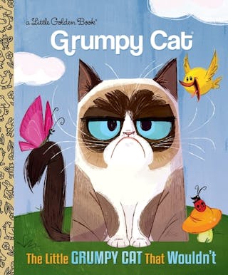 Little Grumpy Cat That Wouldn't