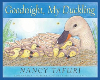 Goodnight, My Duckling