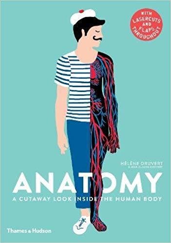 Anatomy: A Cutaway Look Inside the Human Body