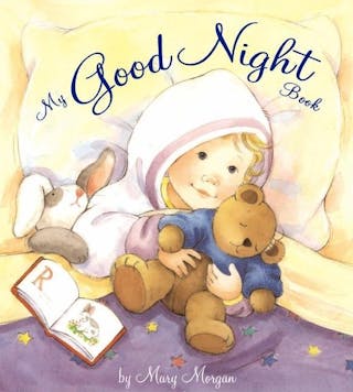 My Good Night Book