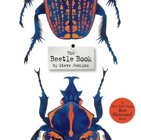 The Beetle Book