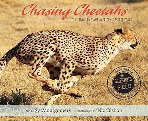 Chasing Cheetahs: The Race to Save Africa's Fastest Cat 