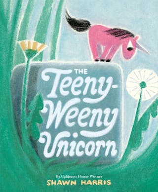 Teeny-Weeny Unicorn