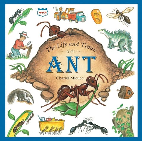 The Life and Times of the Ant