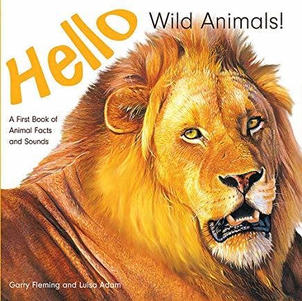 Hello Wild Animals!