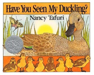 Have You Seen My Duckling?: An Easter and Springtime Book for Kids
