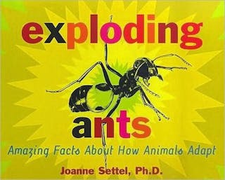 Exploding Ants: Amazing Facts About How Animals Adapt