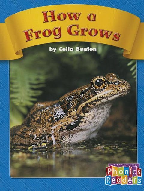 How a Frog Grows
