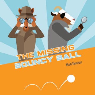 The Missing Bouncy Ball