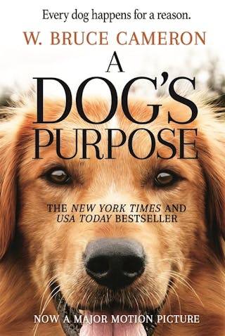 Dog's Purpose: A Novel for Humans