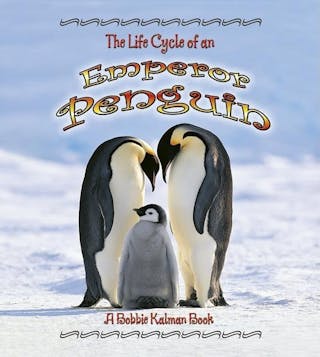 Life Cycle of an Emperor Penguin
