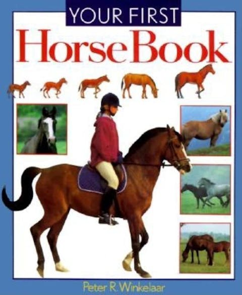 Your First Horse Book