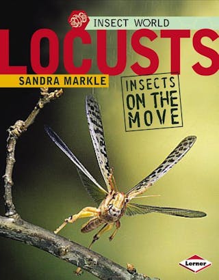 Locusts: Insects on the Move