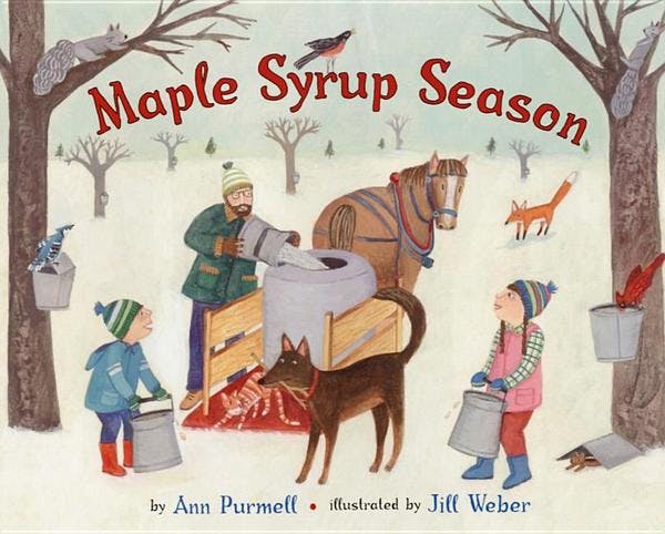 Maple Syrup Season