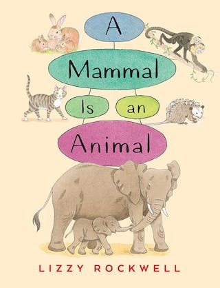 A Mammal Is an Animal