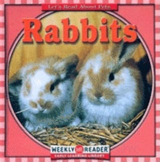 Rabbits